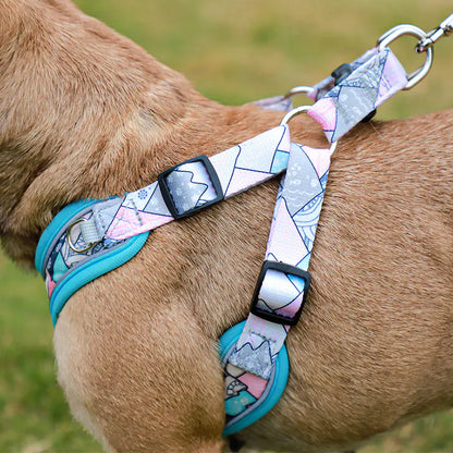 Reflective Anti-Breakaway Leash for Small Dogs